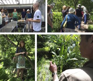 Missouri Botanical Garden - A Fascinating FoPD Update | Plant Science Today