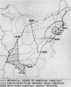 1949 map showing the rate of American chestnut’s destruction  (Gravett, 1949).