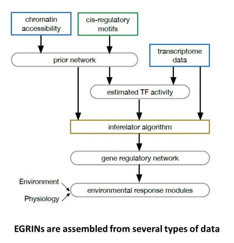In Brief. Field of genes: Uncovering Environmental Gene Regulatory ...