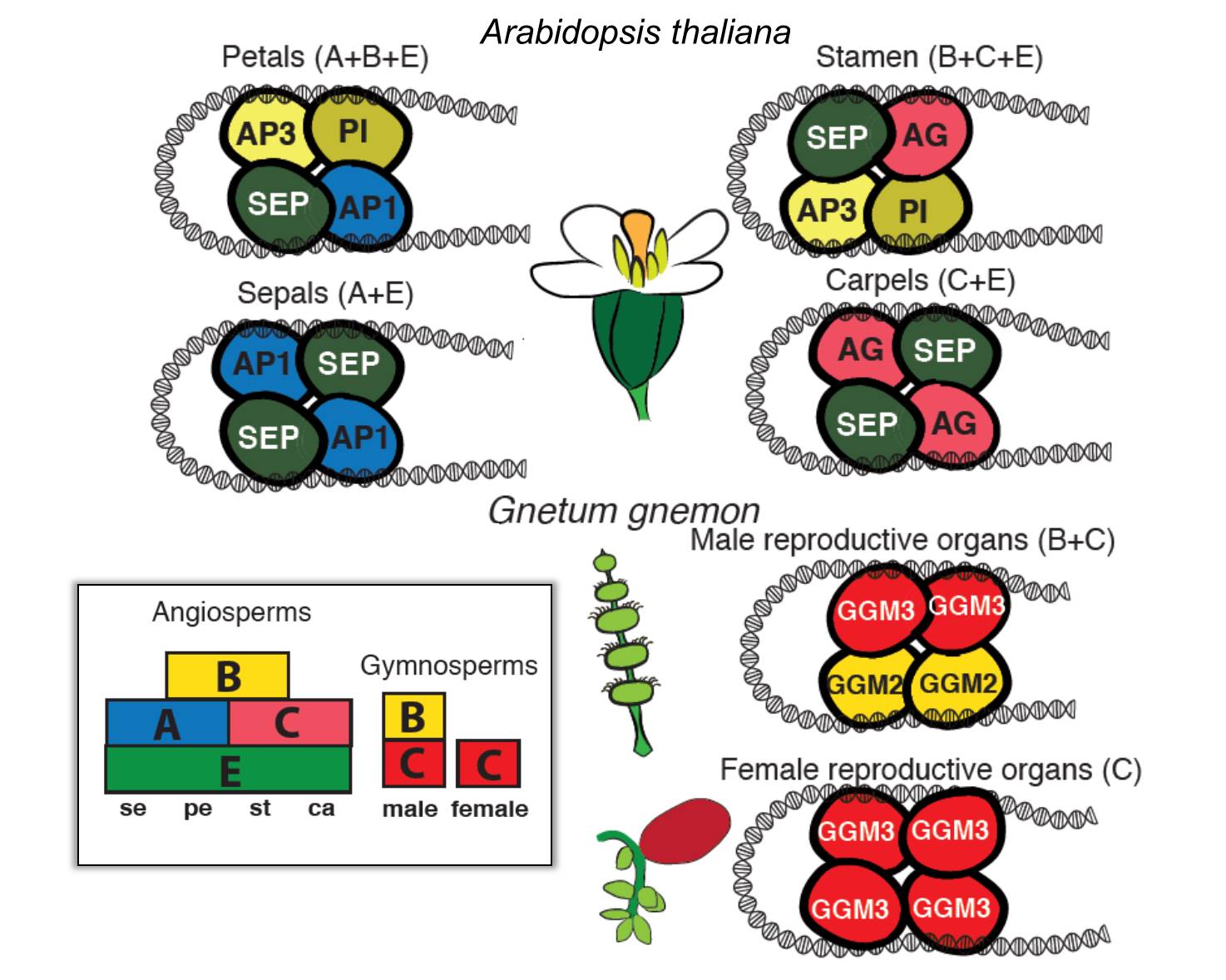 What We’re Reading January 27th Plant Science Today