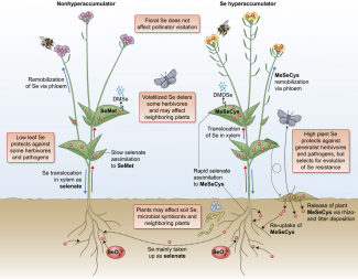 What We’re Reading: February 3rd | Plant Science Today