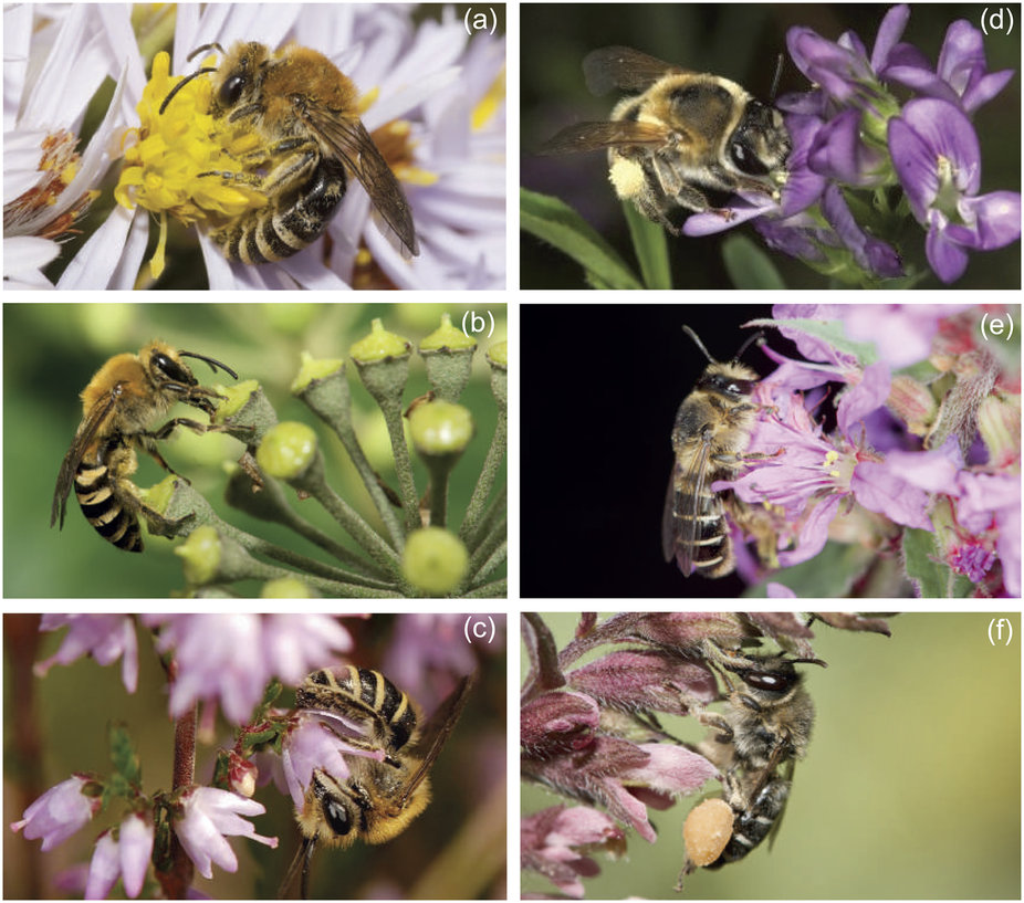 What We re Reading March 3 Plant Science Today
