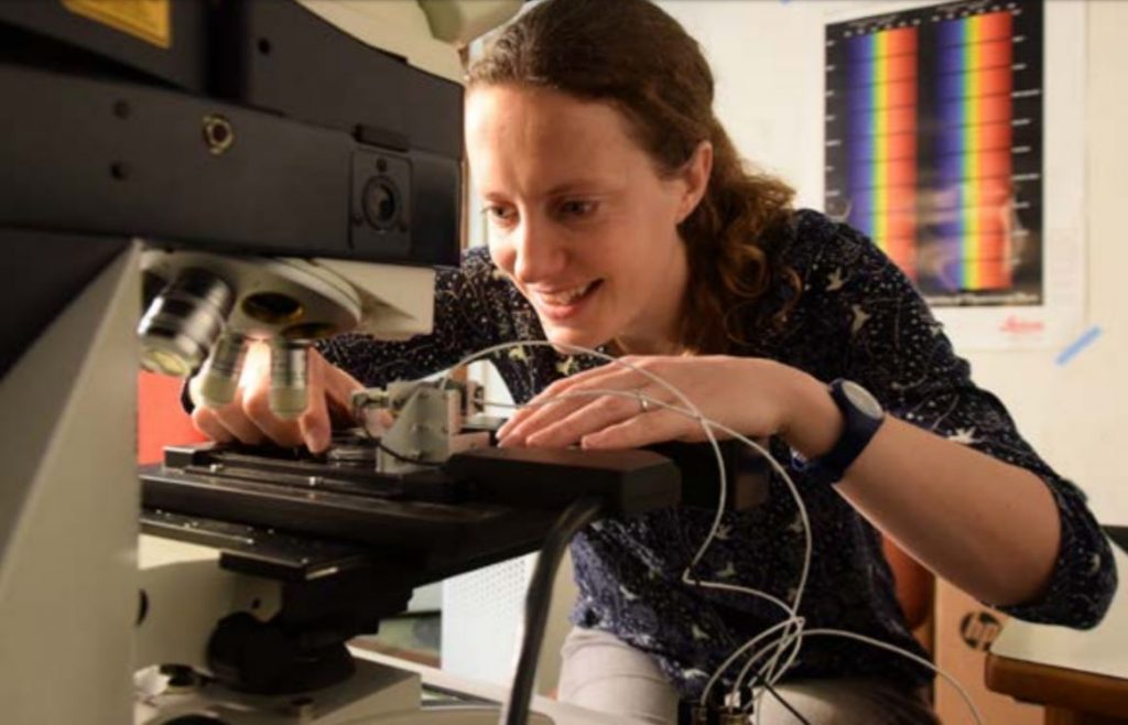 Robotic device tracks plant growth at the cellular level | Plant ...