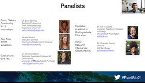 Screenshot from workshop showing panelists