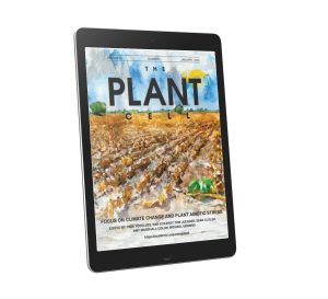 The cover of the Plant Cell on a tablet. Cover depicts AI-generated watercolor of crops in drought and hot sun created by Nan Eckardt and DALL-E 2.